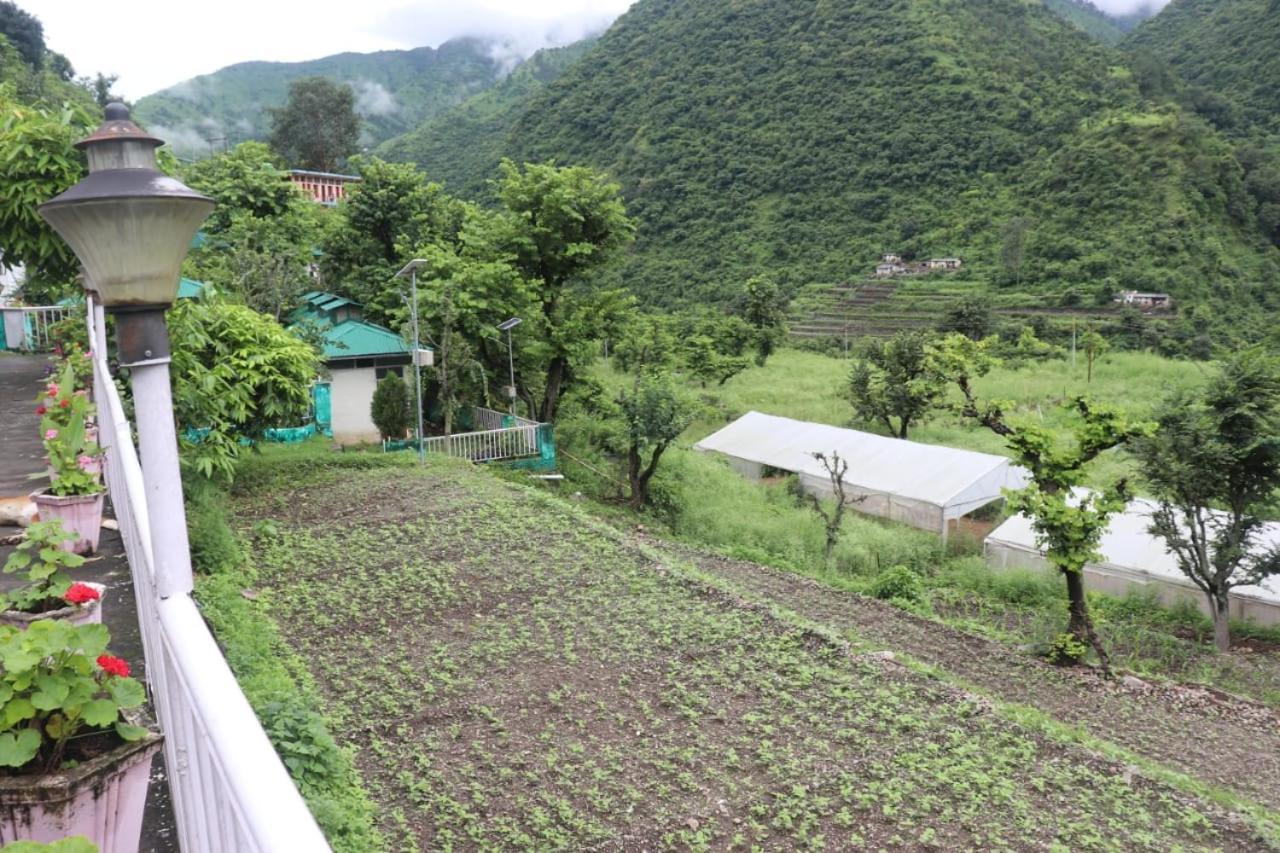 Kalindi Nature Resort Lakhamandal Myani 외부 사진